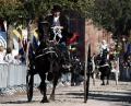Concours Hippique 2011
