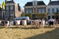 Uitslag Keuringsdei 2011