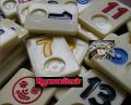 4e open Workum rummikub Kampioenschap