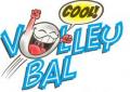 Opgave Volleybaltoernooi feestweek