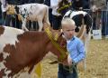 Foto's Keuringsdag