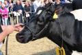 Foto's opening en finale 2012 Henk Gorter