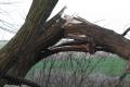 Melding onderhoud Openbare Ruimte
