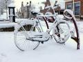 Sneeuw