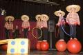Prachtige voorstelling van het circus Pipelini