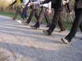 Sportief wandelen