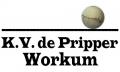 Federatiepartij jeugd