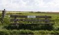 Wandelen en hardlopen tijdens het Welkom in Workum weekend. 