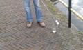 Workum maakt zich op voor eerste WK