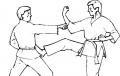 Yke en Felix tonen zich wel hele beste judoka's