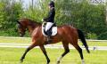 Iris Vinkx succesvol