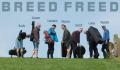 Breedfreed in de muziektent
