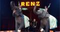 Circus Renz