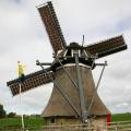 Friese Molendag
