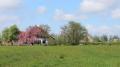 Wandeltocht vanuit Zorgboerderij Veldzicht