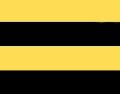 Vlag uit