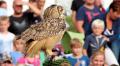 Foto's Feestweek
