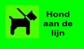 'Honden aanlijnen'