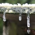 Filmpje van winterfoto's