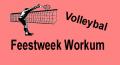 Feestweek volleybaltoernooi