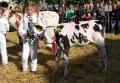 Foto's veekeuringsdag Jan Pieter Dijkstra