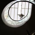 Hoog-werk bij gemeentehuis