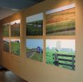 Tentoonstelling over de skries