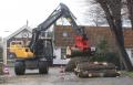  Gezonde bomen worden toch slachtoffer