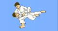 Gezusters Adema judoën weer top 