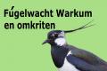 Vogelwacht Workum bestaat alweer 60 jaar