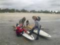 Gratis surfplanken  
