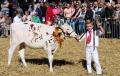 Listrinners van Workumer veekeuring weer op stap