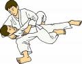 Ciska Adema pakt judobrons in Hardenberg