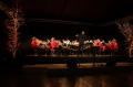 Nieuwjaarsconcert Crescendo