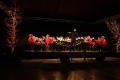 Crescendo tweede op Spiker Festival