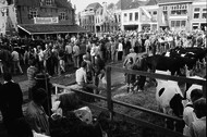 Klik hier om terug te keren