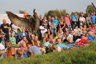 Klik hier om terug te keren