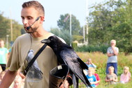 Klik hier om terug te keren