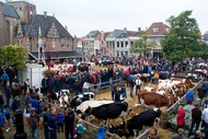 Klik hier om terug te keren