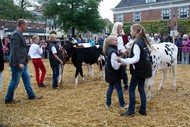 Klik hier om terug te keren
