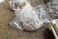 Klik hier om terug te keren