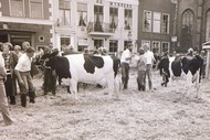 Klik hier om terug te keren