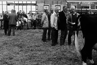 Klik hier om terug te keren