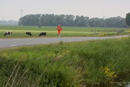 Klik hier om terug te keren