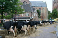 Klik hier om terug te keren