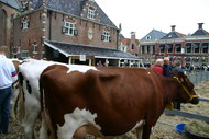 Klik hier om terug te keren