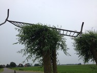 Klik hier om terug te keren