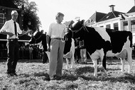 Klik hier om terug te keren