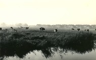 Klik hier om terug te keren