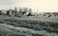 Klik hier om terug te keren